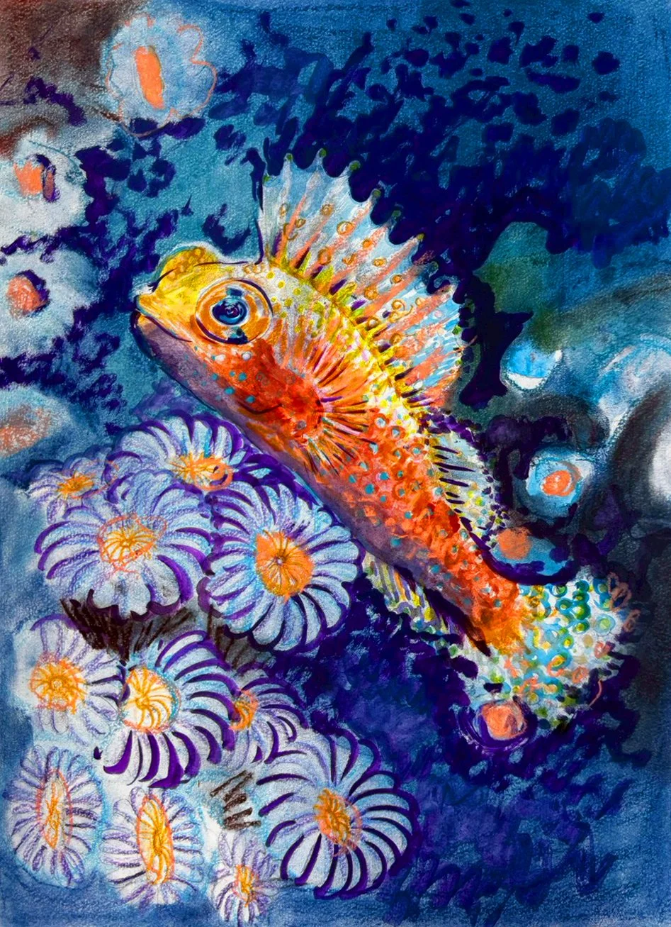 2026 Fish International Winners — Art of Conservation